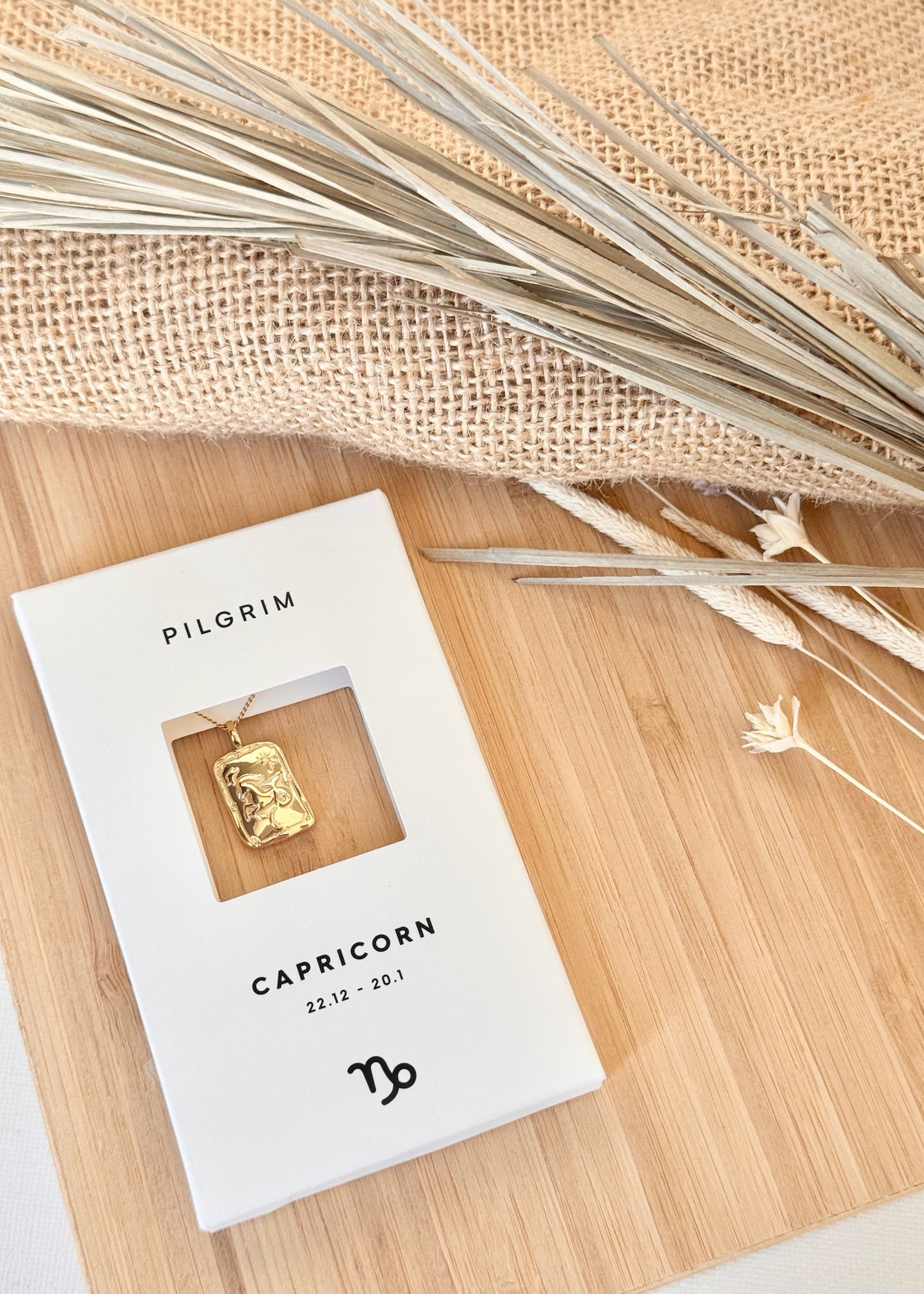 Pilgrim Rectangle Horoscope Necklace