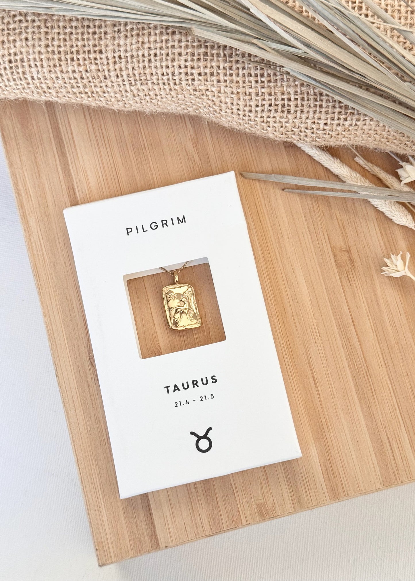 Pilgrim Rectangle Horoscope Necklace