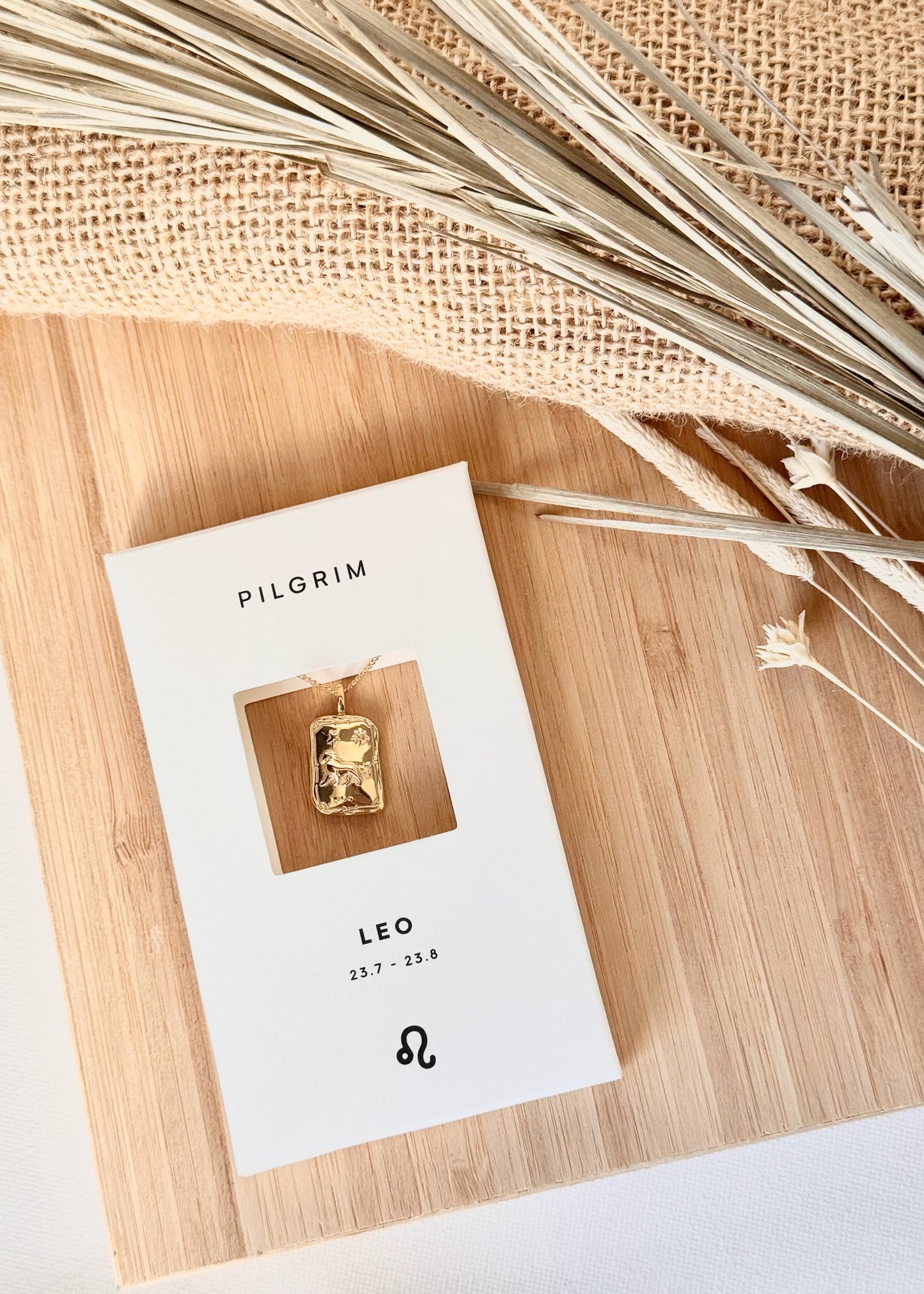 Pilgrim Rectangle Horoscope Necklace