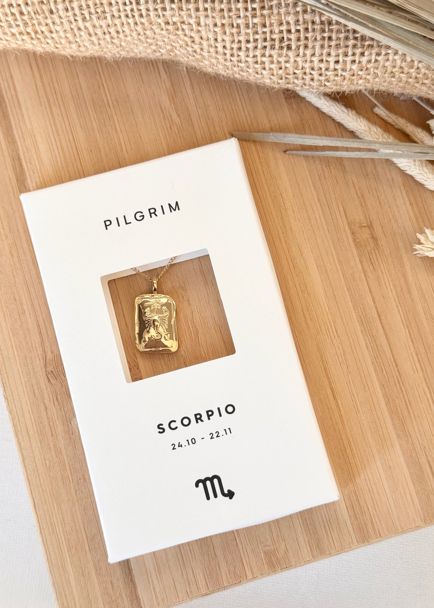 Pilgrim Rectangle Horoscope Necklace