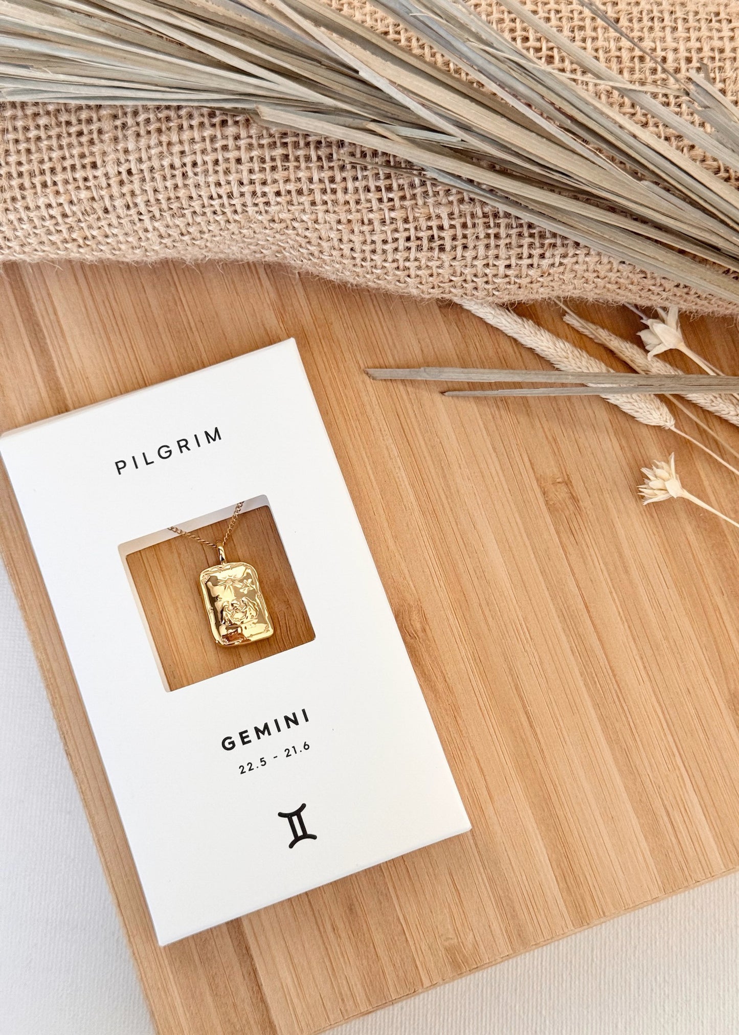 Pilgrim Rectangle Horoscope Necklace