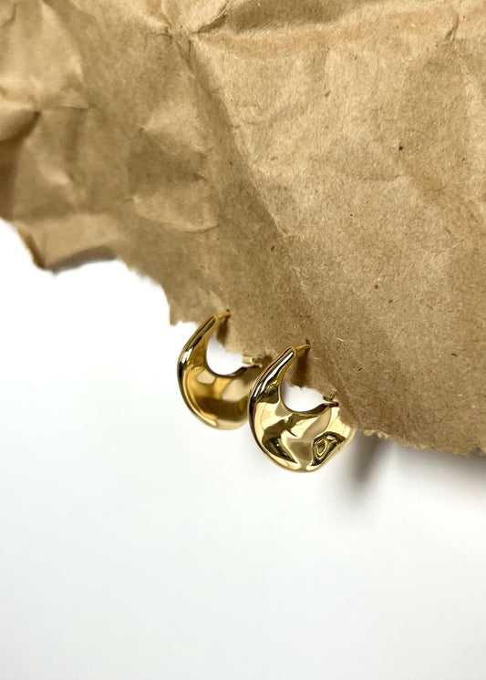 Pilgrim Sense Earrings