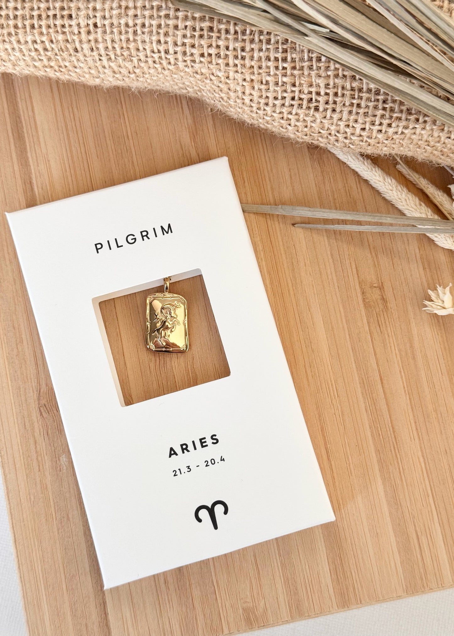 Pilgrim Rectangle Horoscope Necklace