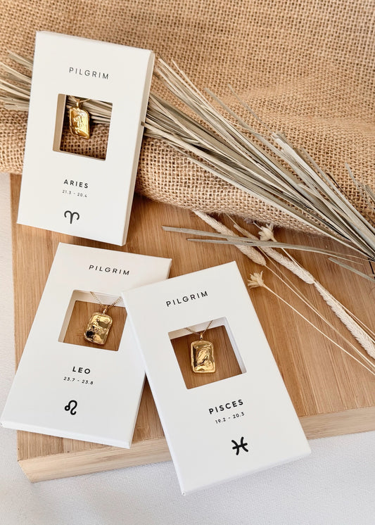 Pilgrim Rectangle Horoscope Necklace